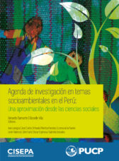 Agenda de Investigación en Temas Socioambientales en el Perú: Una aproximación desde las ciencias sociales