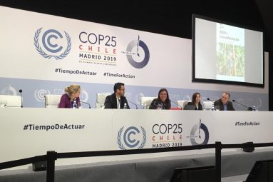 Deborah Delgado participa en presentación de libro del CIFOR en el marco de la COP 25