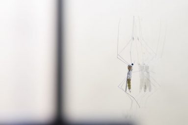 El dengue en la Amazonía: La otra epidemia, y lo que nos dice de nuestro sistema de salud