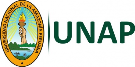 Universidad Nacional de la Amazonía Peruana