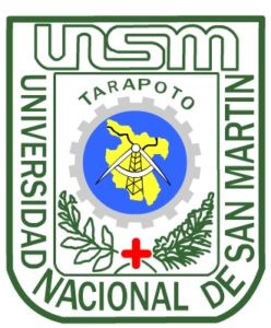 Universidad Nacional de San Martín