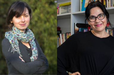 Nuevo capítulo en libro de la investigadora CISEPA María Eugenia Ulfe junto a Silvia Romio