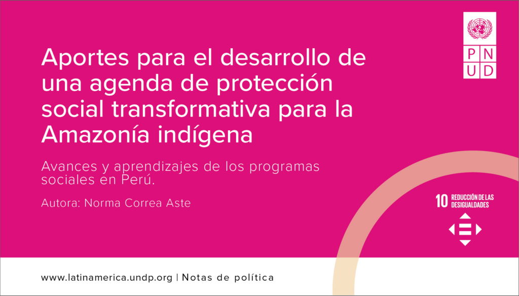 Nueva publicación del PNUD América Latina y el Caribe elaborada por la investigadora CISEPA Norma Correa