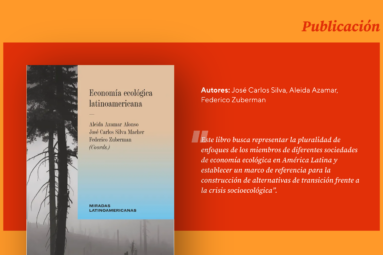 Acceso libre al libro co-escrito por el investigador CISEPA José Carlos Silva y otros autores