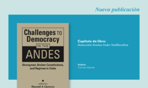 Nuevo capítulo de libro de la investigadora Carmen Ilizarbe