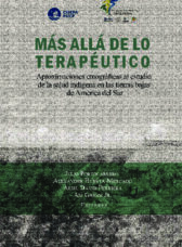 Más allá de lo terapéutico: Aproximaciones etnográficas al estudio de la salud indígena en las tierras bajas de América del Sur