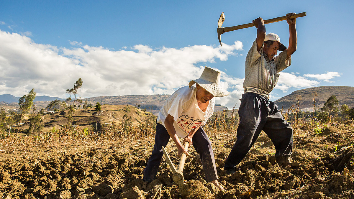 El problema distributivo de la tierra: un silencio que debe acabar en la  política agraria - IDEHPUCP