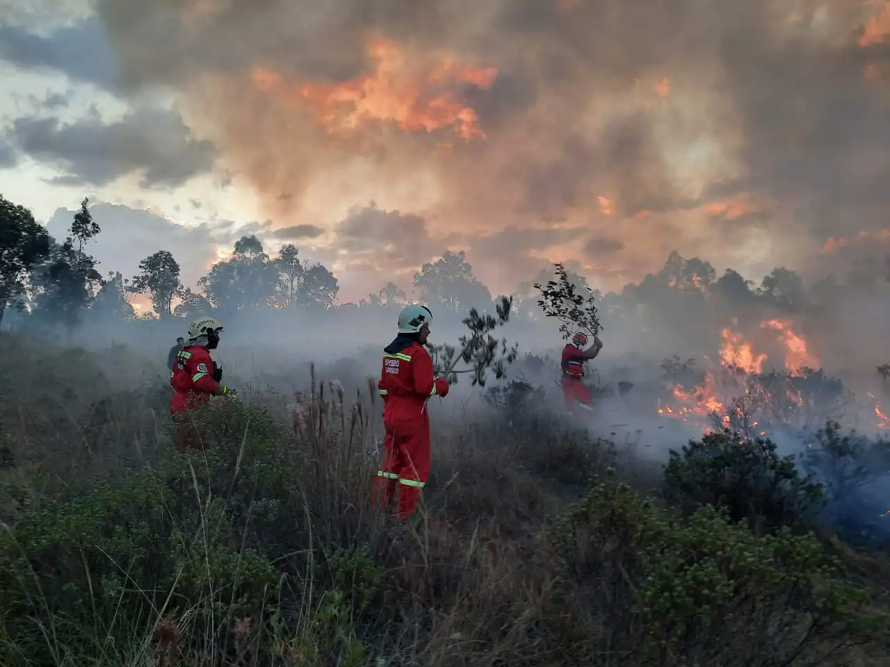 Los incendios forestales en Perú registraron 16 fallecidos. Foto: Idehpucp   